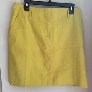 Ann Taylor Size 8 NWT Fully Lined Mini Skirt - Chic & Stylish Girl Boss NEW